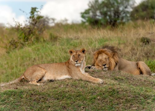 7 Days Uganda adventure Safari