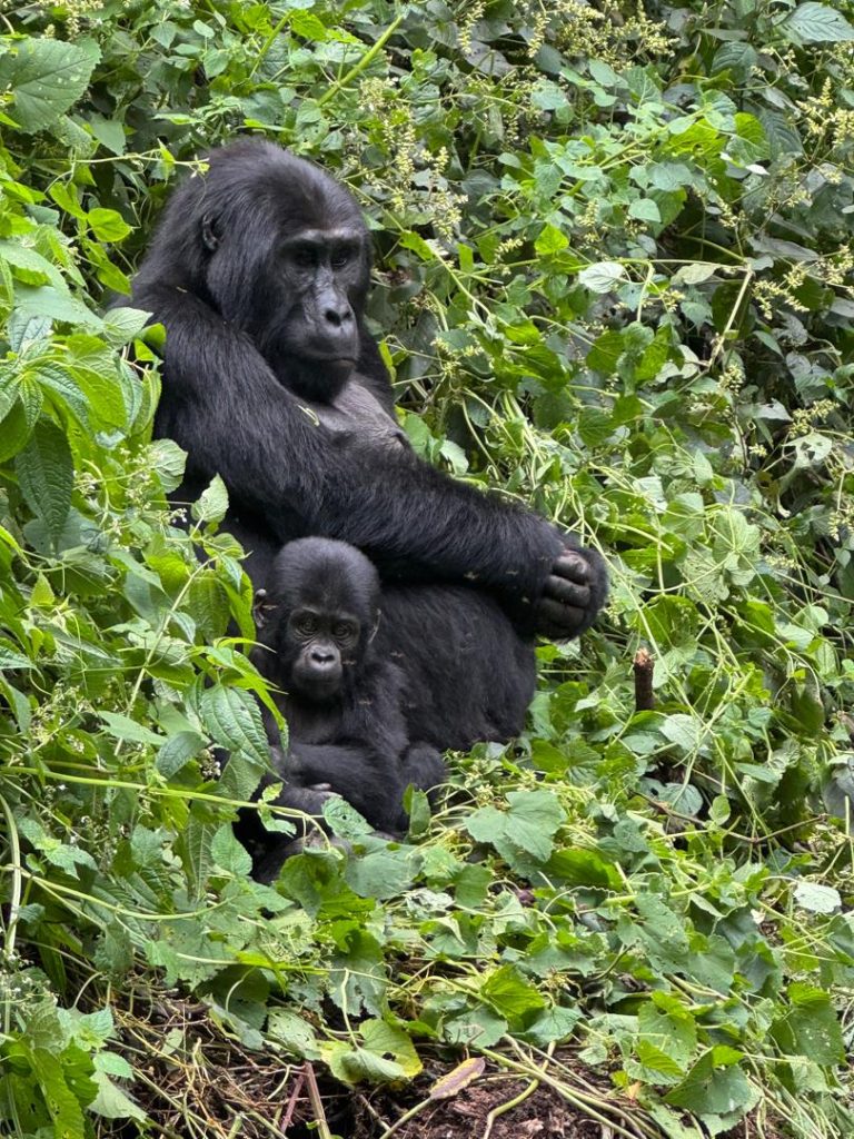 Thursday with her Baby Relaxing